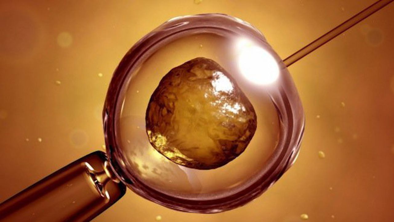 Модифицираха човешки ембриони за борба с ХИВ