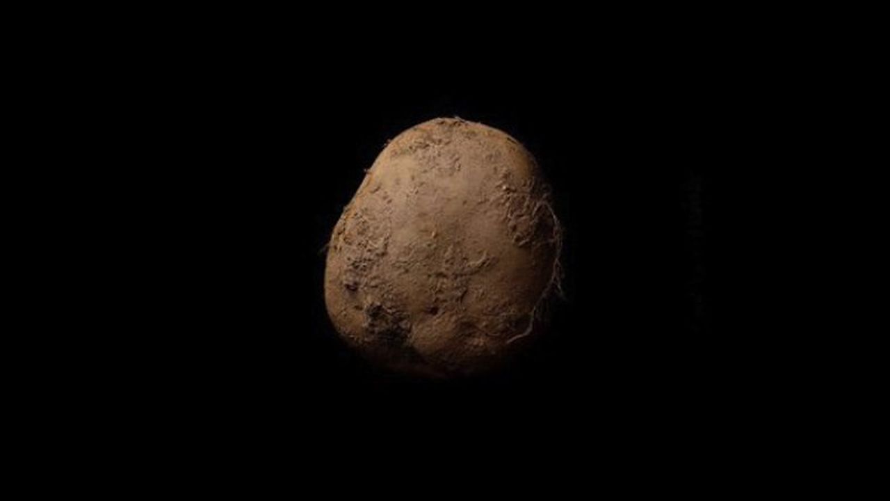 Снимка на картоф за 1.08 милиона долара