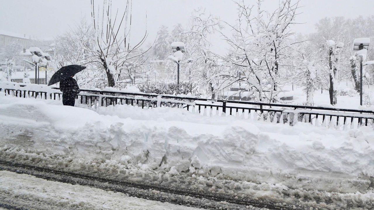Туристическа фирма подложила на риск 40 японци (видео)