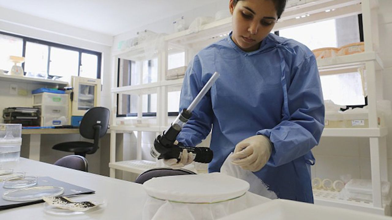 Какво е Norovirus и какви са симптомите при него