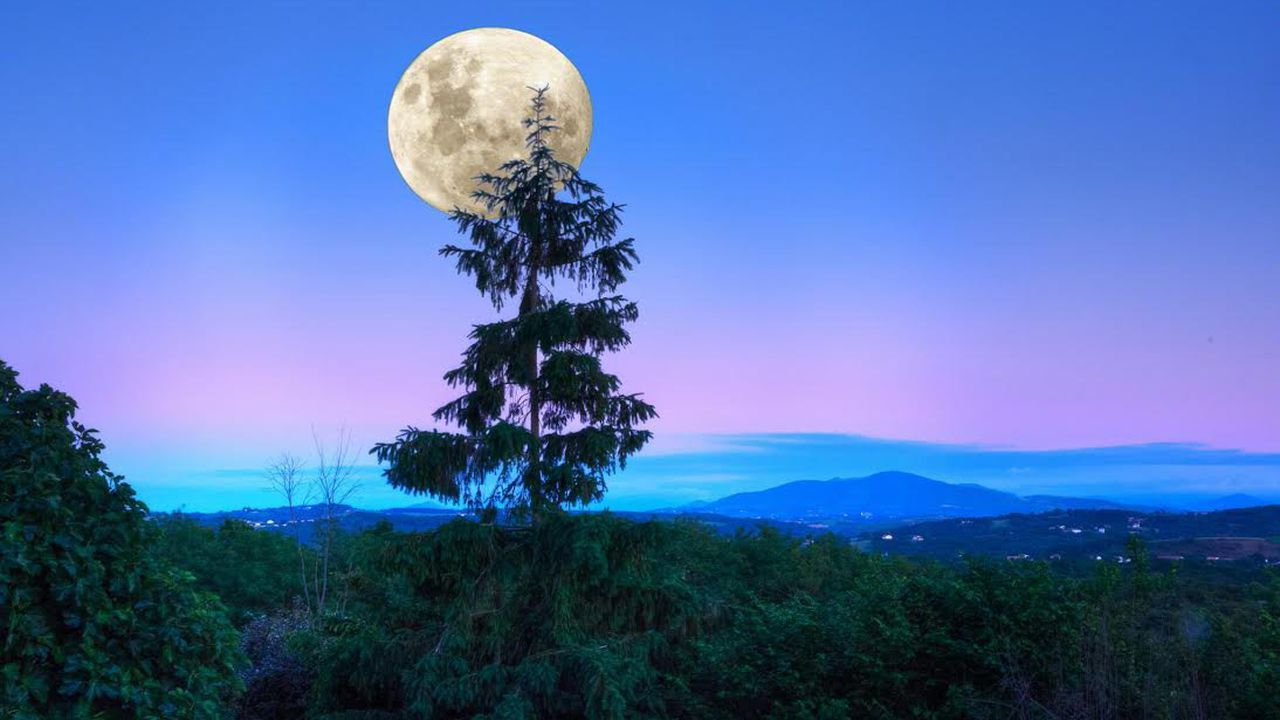 Всичко каквото правите днес, ще ви се получава добре - не губете време