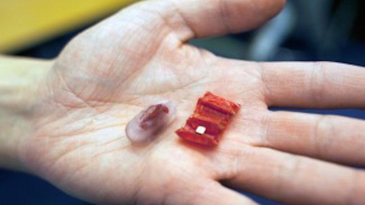 Това миниатюрно оригами се разгъва в стомаха