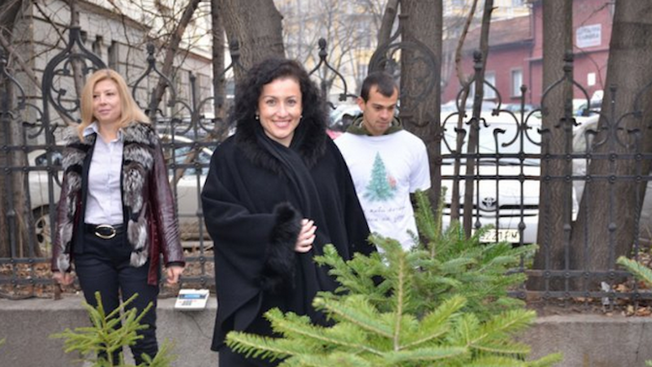 Десислава Танева: Уволненията в горските стопанства са заради нарушения
