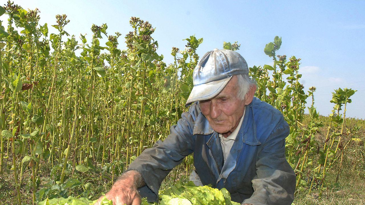 Частна фирма зароби земеделци от Тополовград