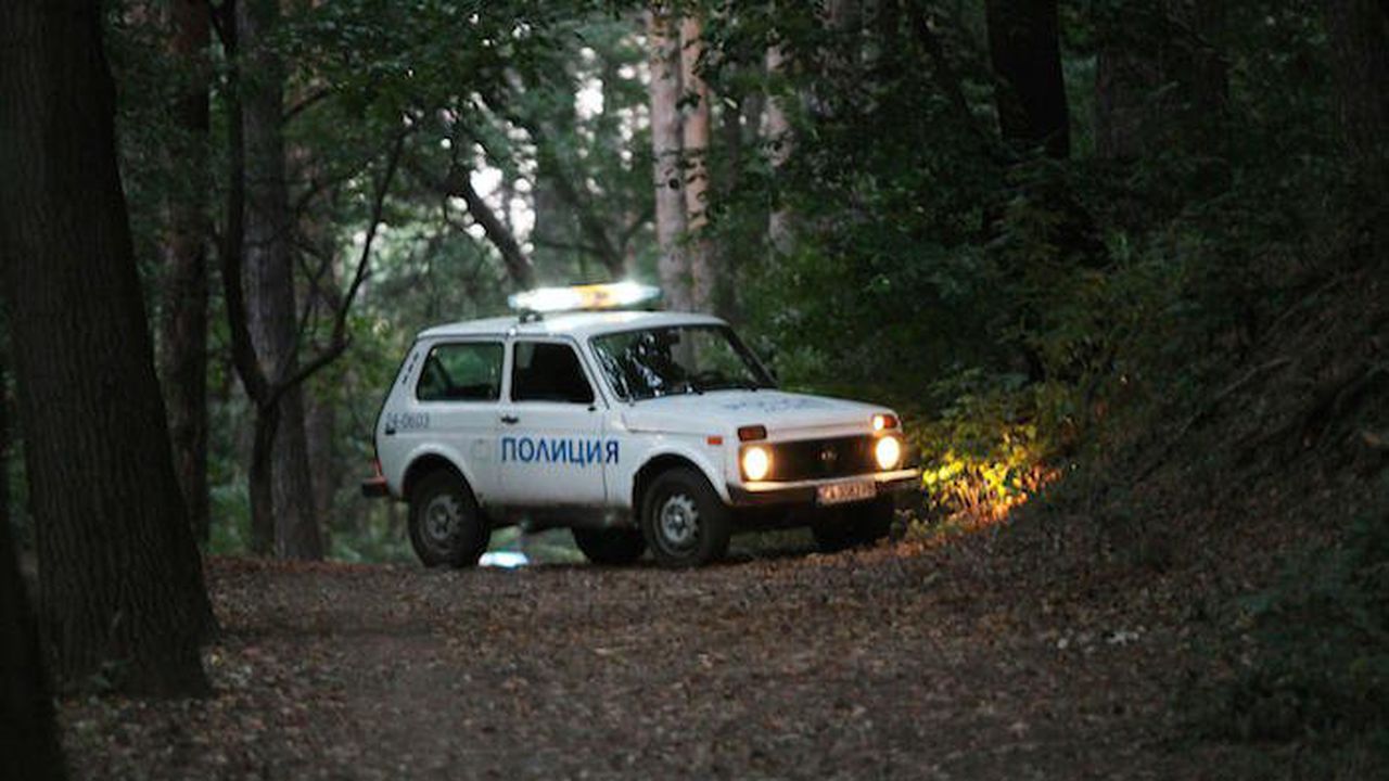 Полицаи от Кула задържаха 14 чужденци