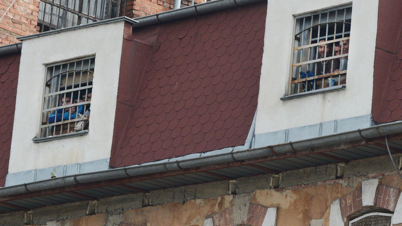 Варненец ще лежи в затвора заради убийство на котка