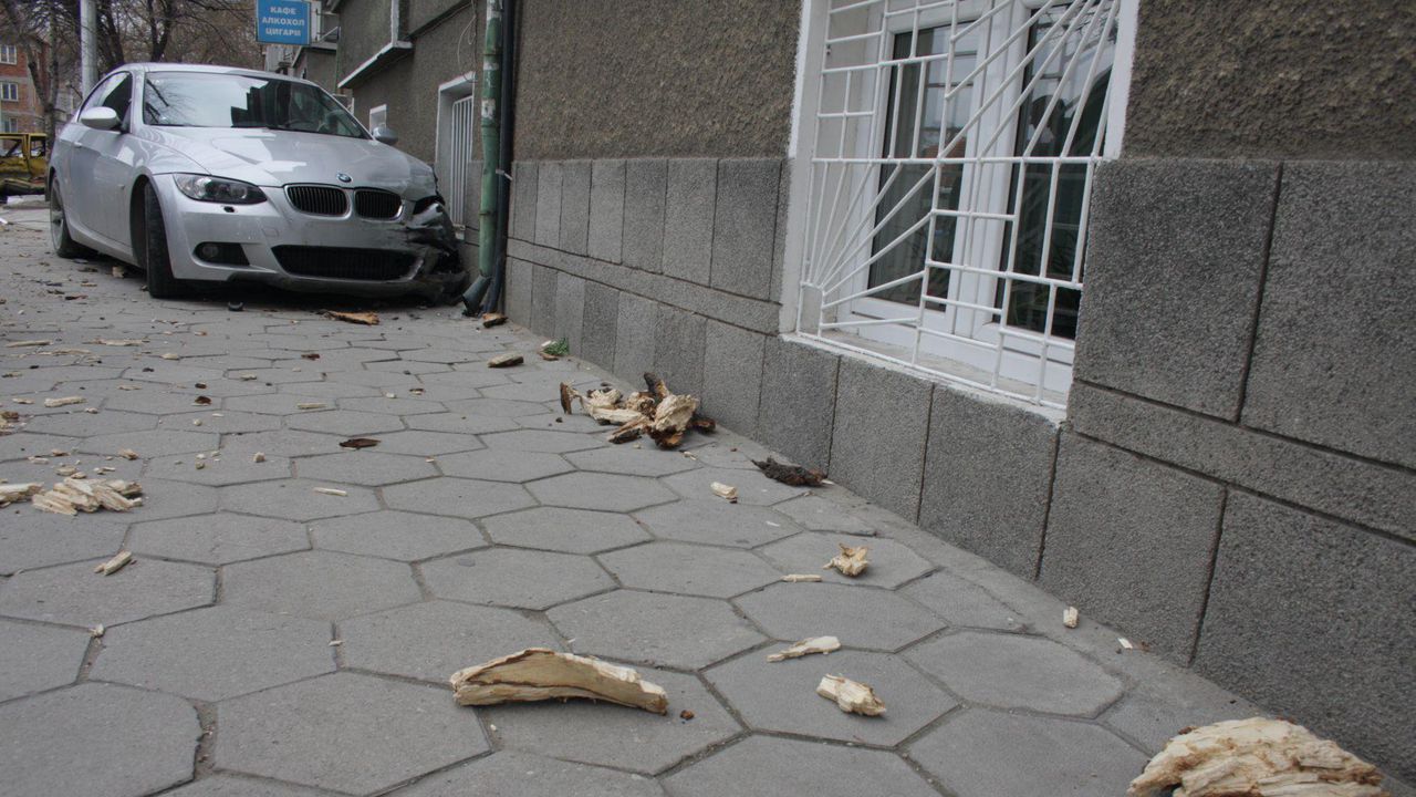 Кола се заби в магазин в Пловдив