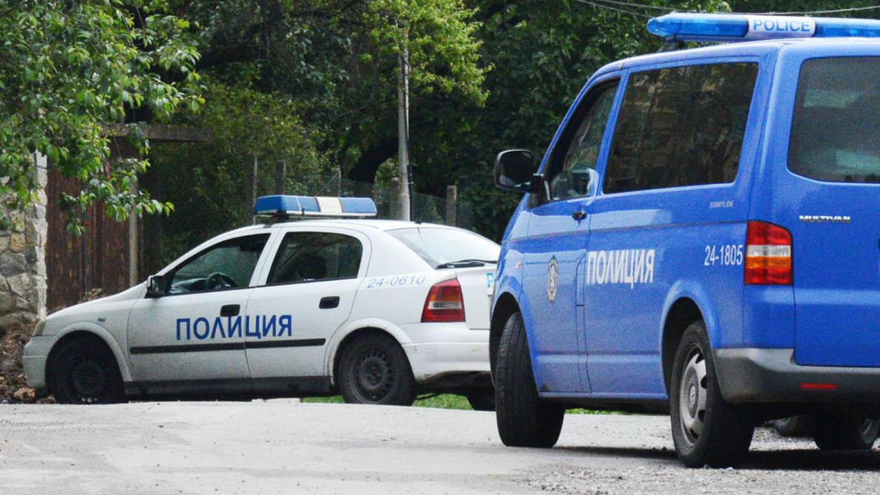 Дете на година и половина и майка му са загинали при челния сблъсък край Луковит
