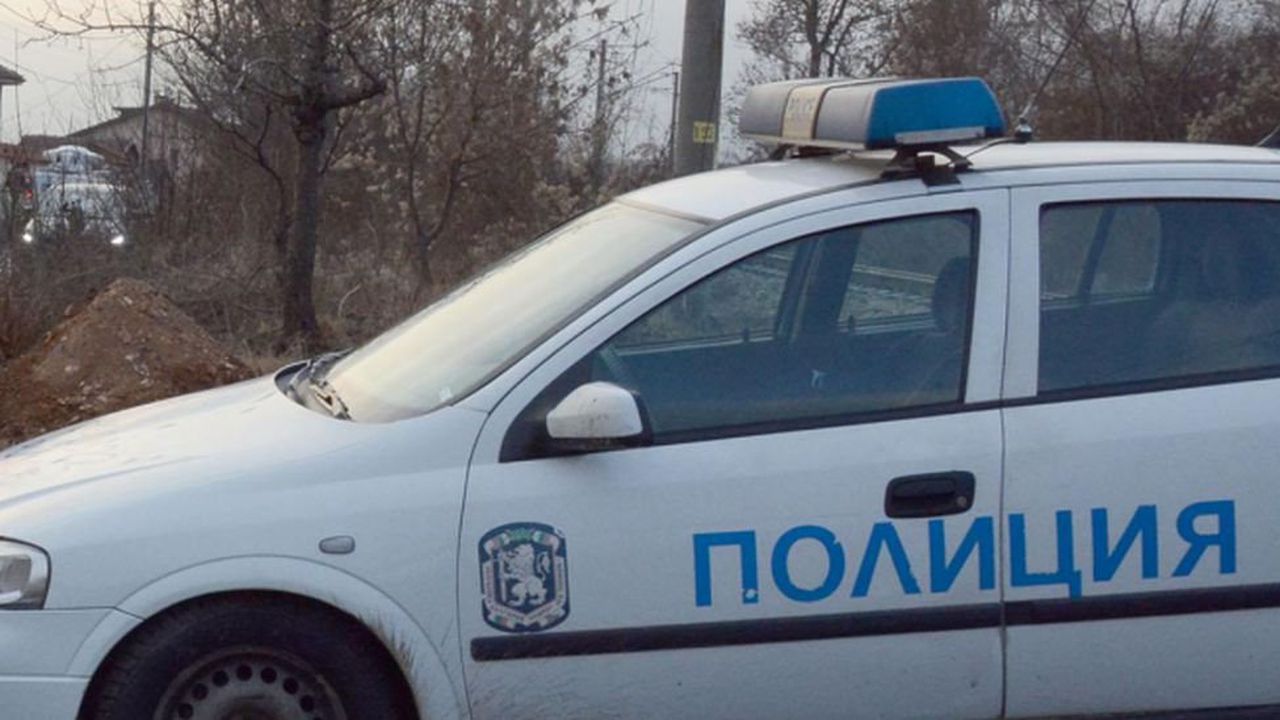 Задържаха нелегални мигранти, пътували с влак от Видин до София (обновена)