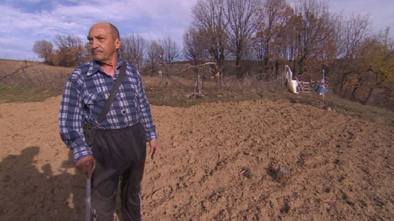 Дядо си продаде магарето, за да плати глоба за отсечен дъб в нивата му