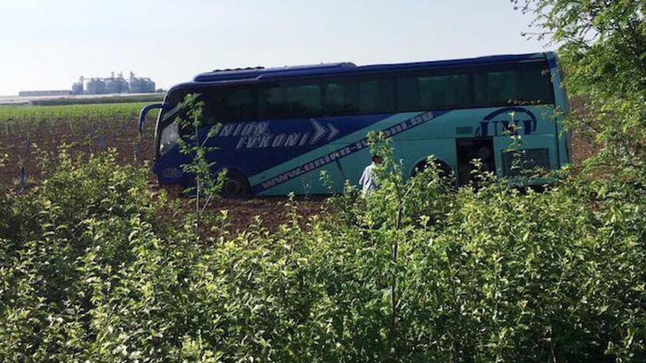 Автобусът от София за Силистра катастрофирал заради елен?