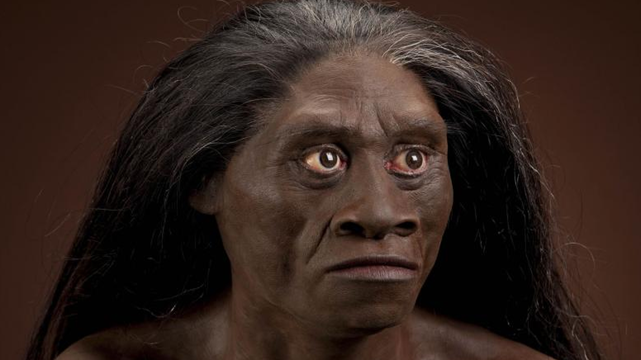 Индонезийските хобити не са Homo sapiens