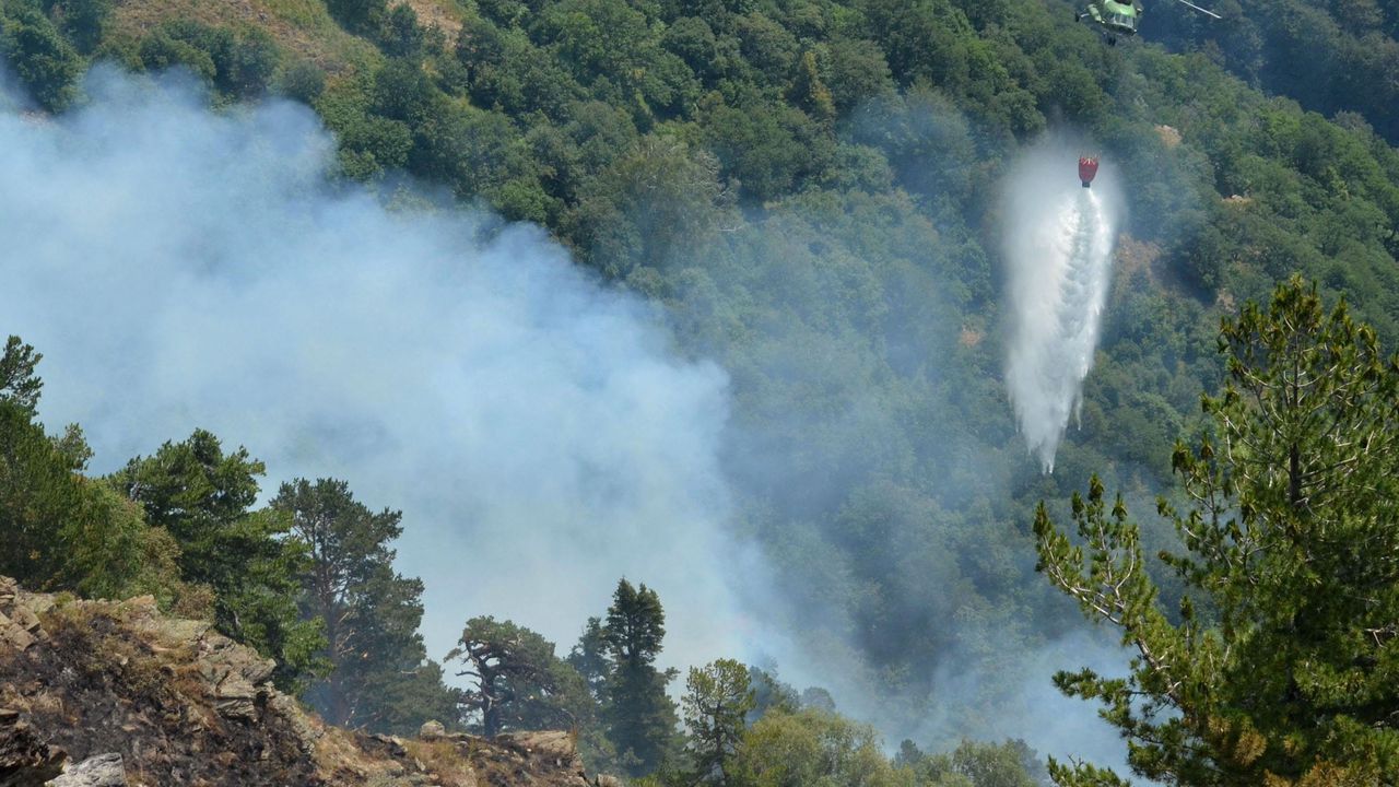 Пожарът в Рила е ликвидиран, увериха от пожарната в Кюстендил (снимки)
