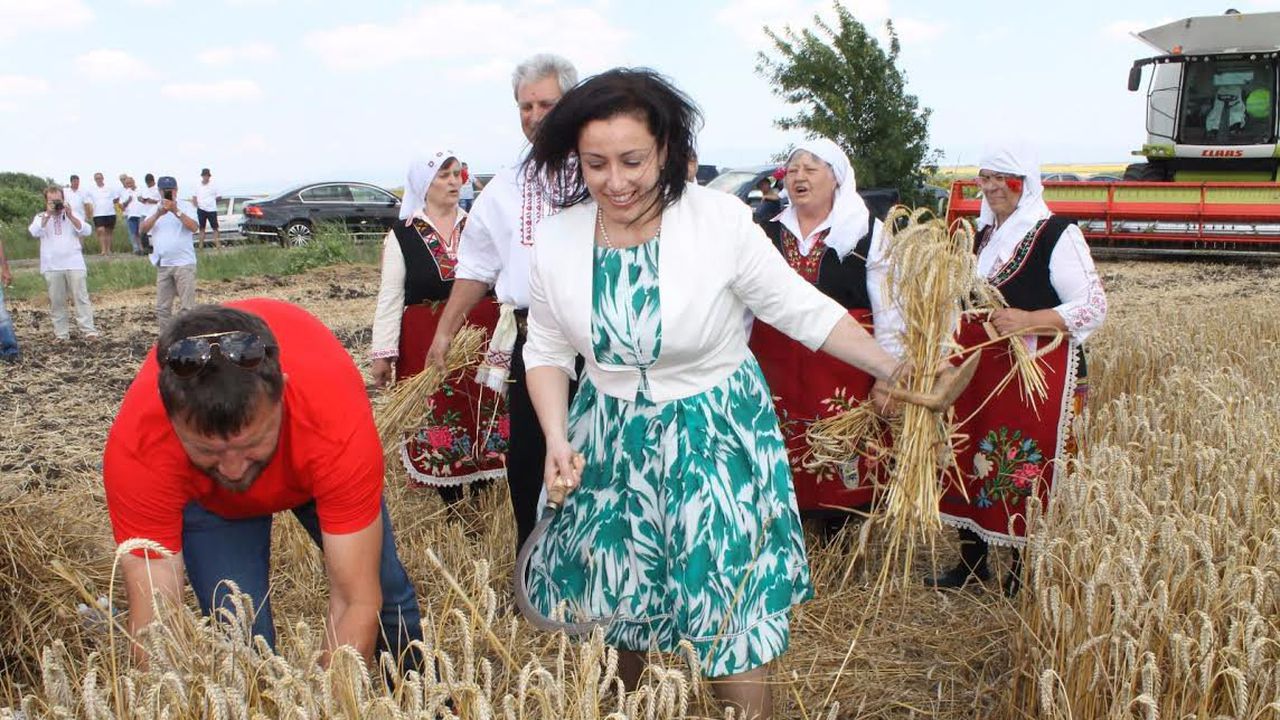 Танева: Има увеличение на площите със зърнено-житни култури