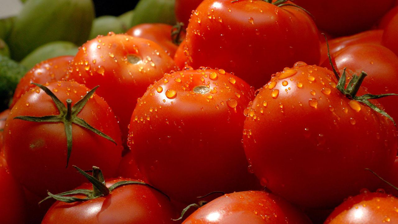 Шотландия иска да забрани ГМО културите