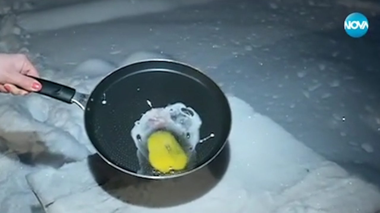 Експеримент: В Кнежа счупено яйце замръзва за секунди (снимки+видео)