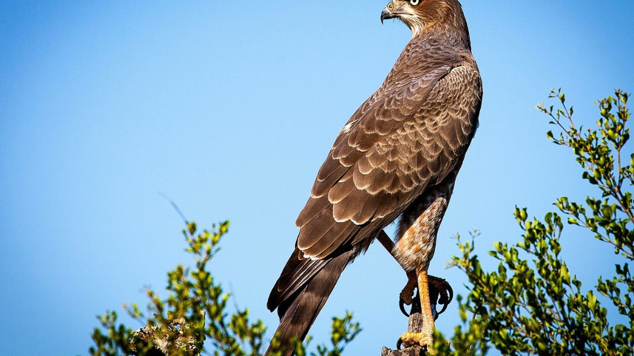 По време на полевия сезон на 2025 г. екипите на