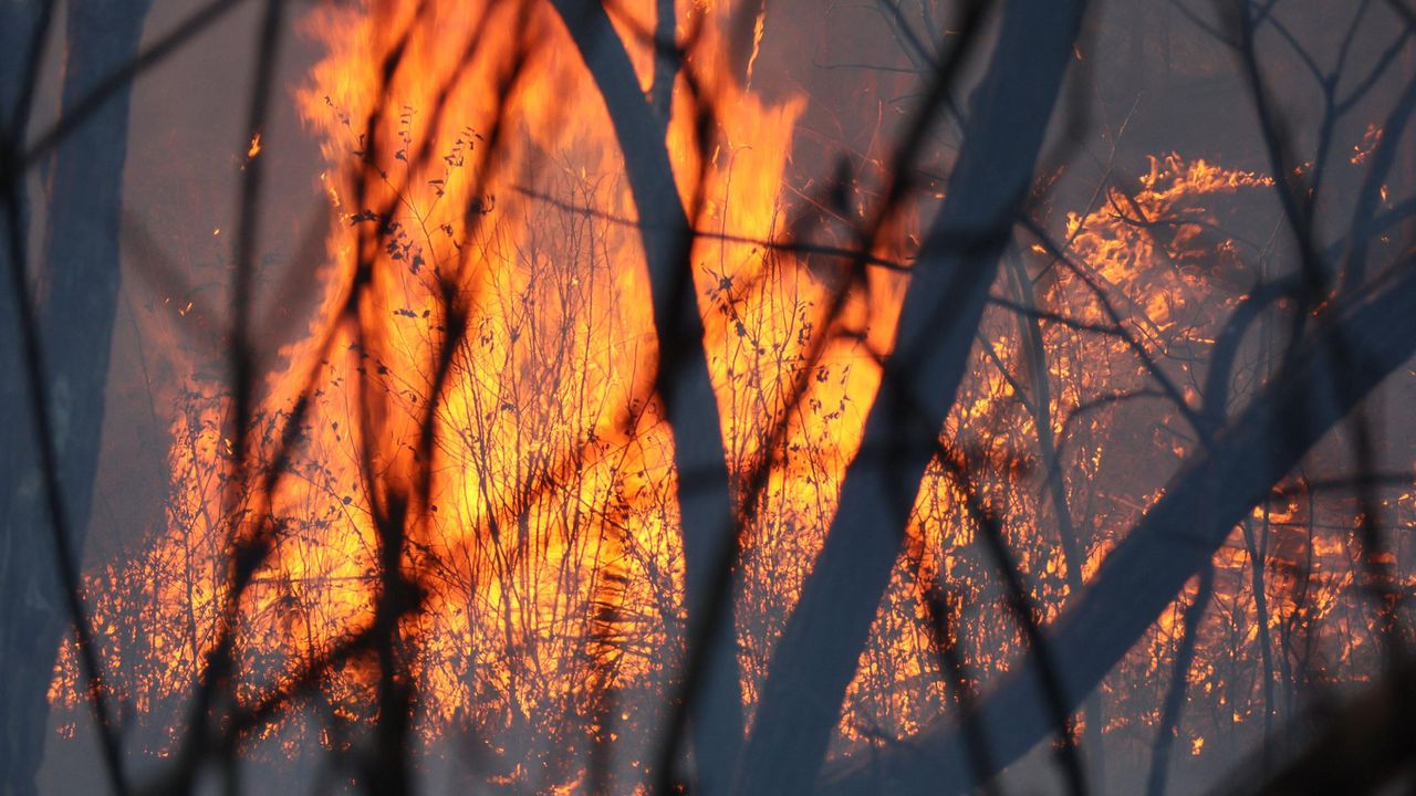Голям пожар в Свиленградско, изгоряха къщи и автомобили