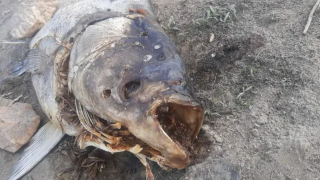 Липсата на вода е основна тема за страната ни и