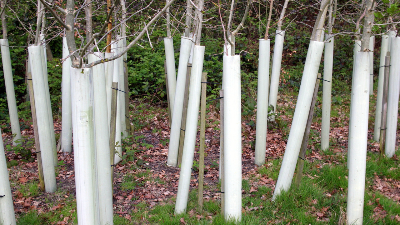 Сумата, предназначена за реализацията на кампанията, е в размер на