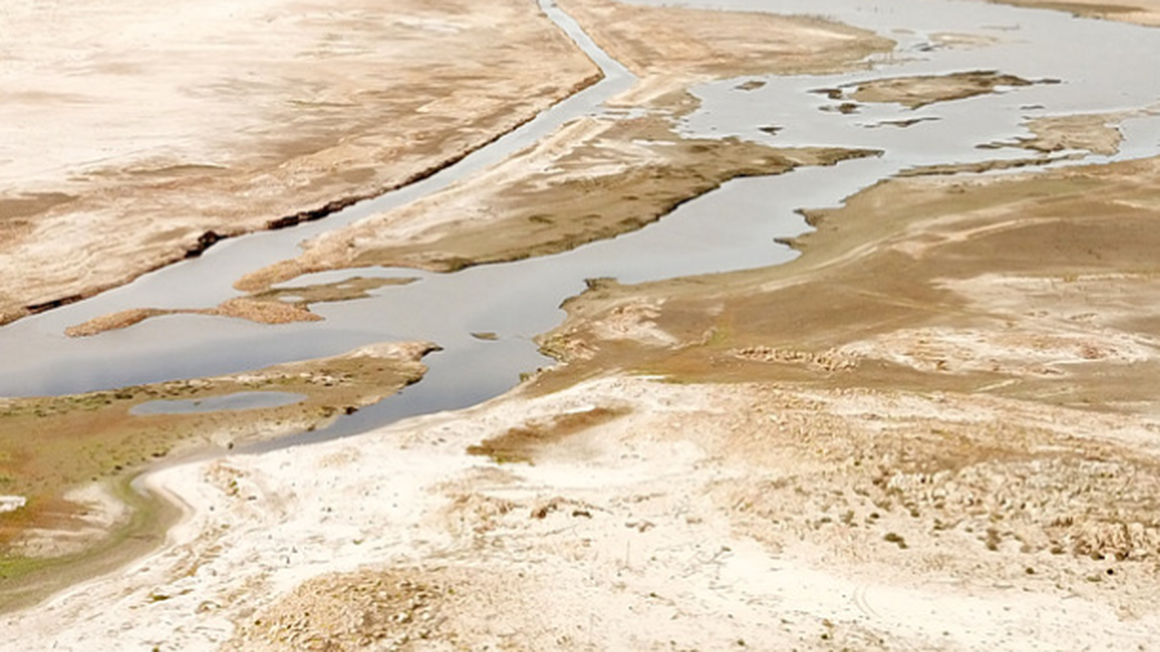 Водата вече е наполовина, а десетки състезатели в гребните спортове