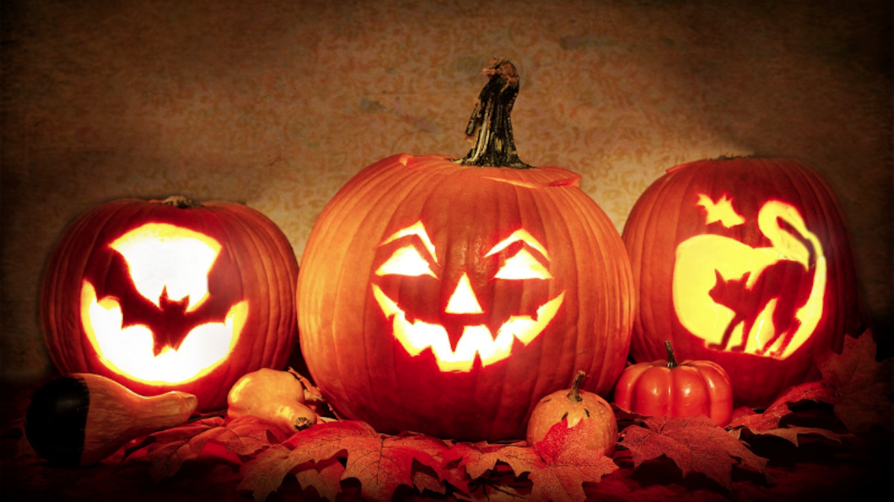 По традиция 1 ноември се чества с особена тържественост в