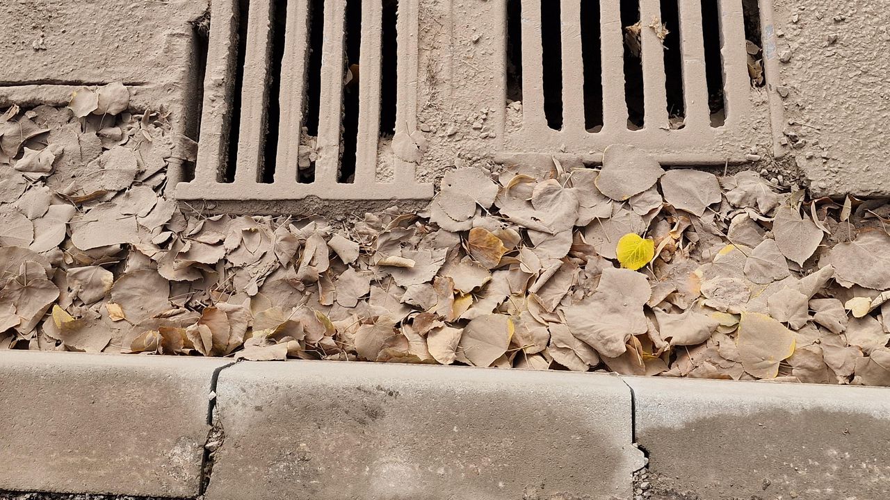 Некачествен уличен ремонт в Младост 4 - Булфото