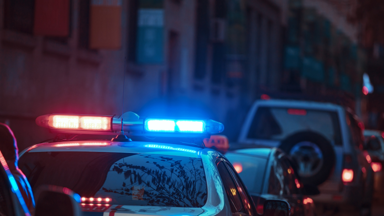 В Бразилия разбиха мрежа за продажба на видеа с насилие над животни след бг сигнал