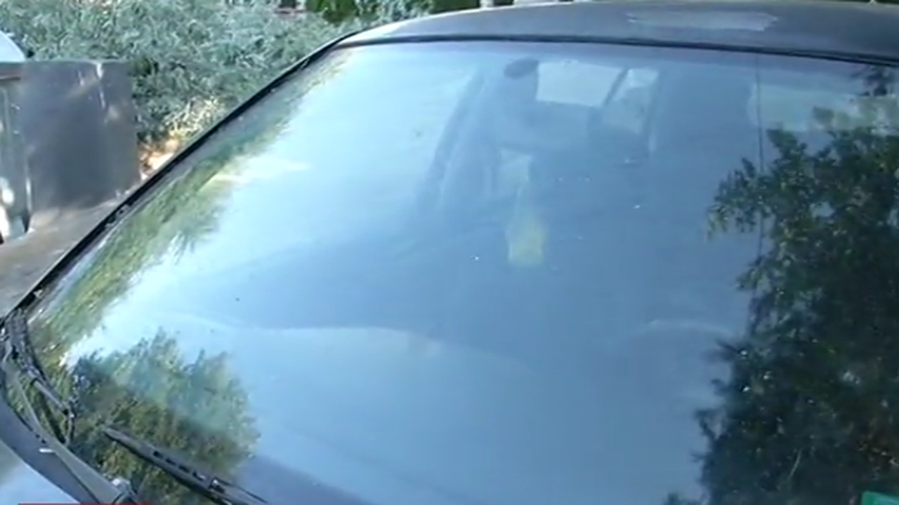 Дърво премаза кола в Кранево, кметът раздразнен защо винаги все той е на топа на устата