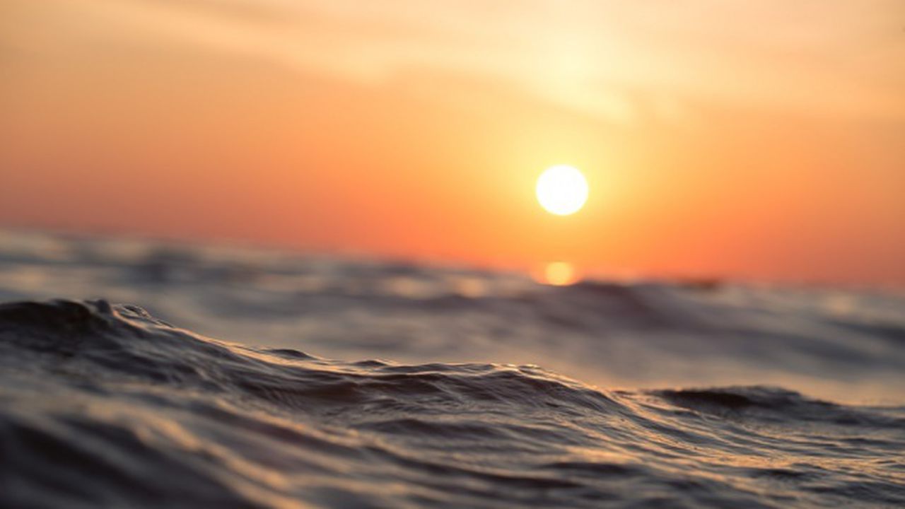 Според резултатите от проби от 9 август - няма замърсяване на морската вода край Созопол