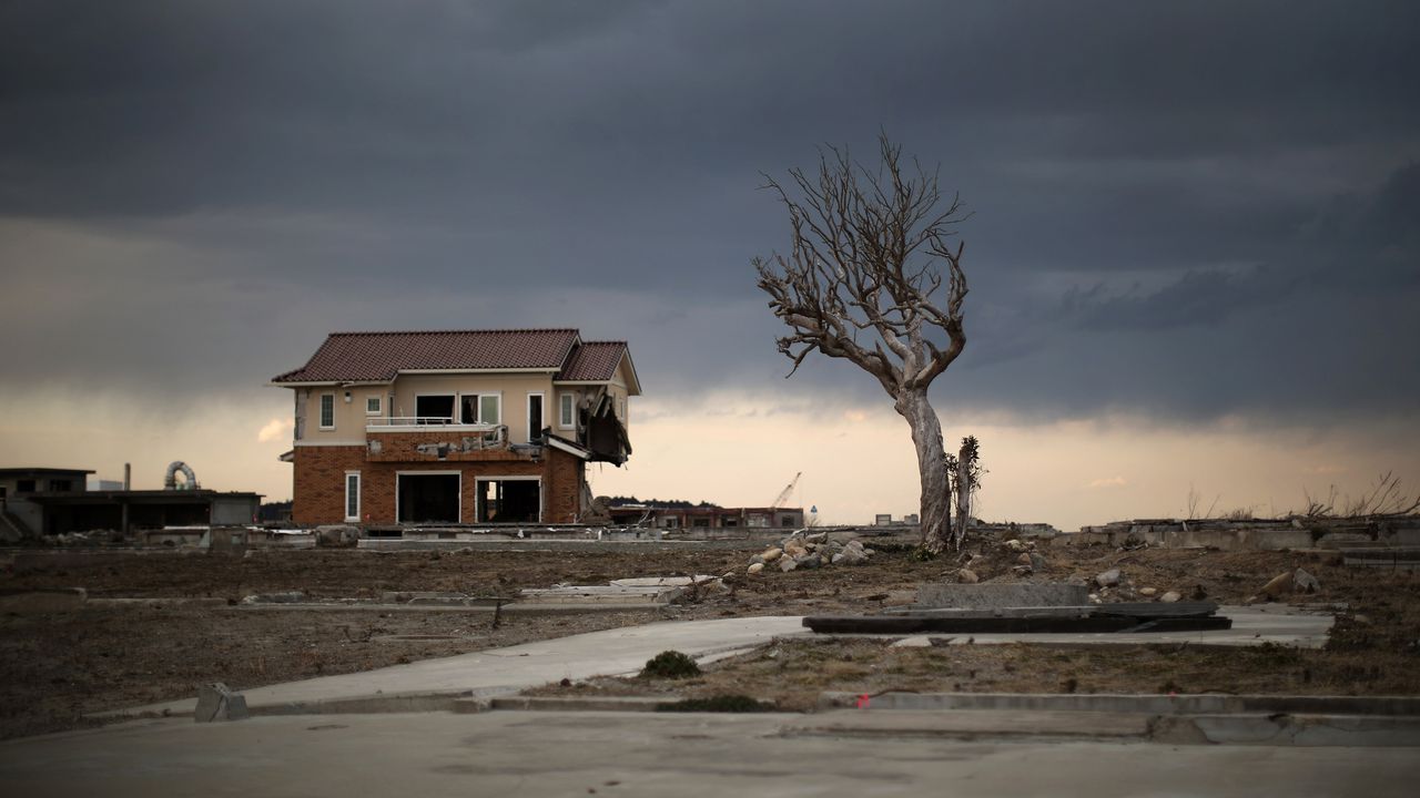 Япония иска да насели отново Фукушима