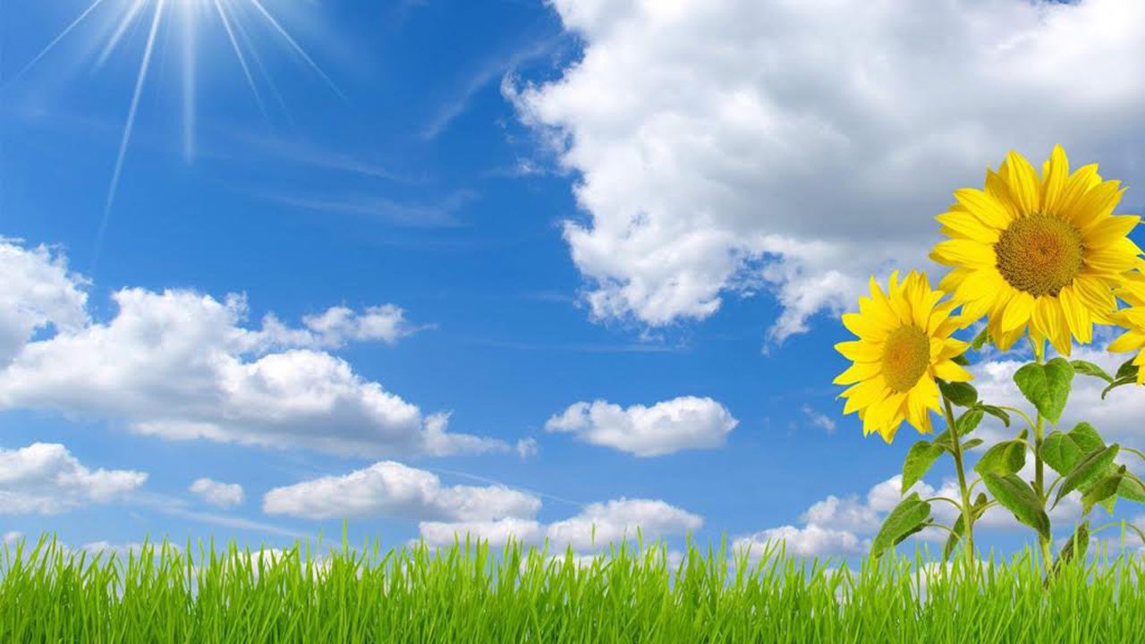 Днес чувствата ще доминират над разума