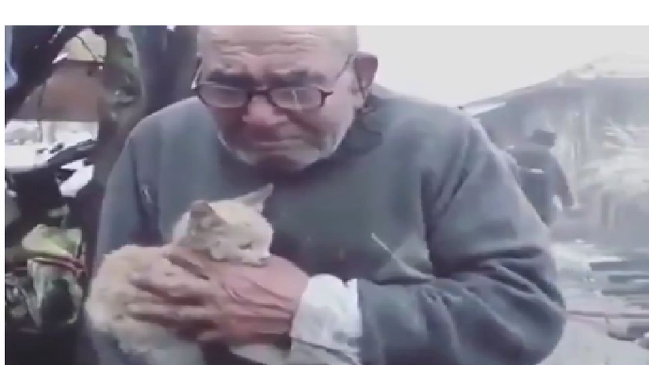 Старецът и малкото му коте разплакаха цяла Турция (снимка)