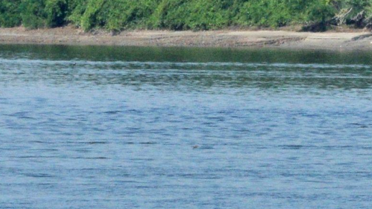 Нивото на Дунав скача с 16 см при Ново село