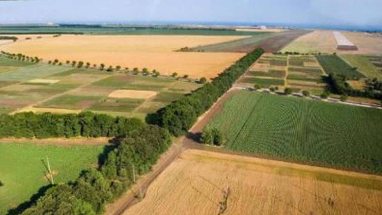 Държавен фонд „Земеделие“: Одобрени са 1 253 проекта на малки стопанства