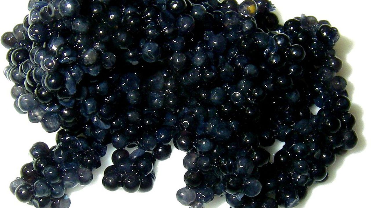 Защо хайверът е любим деликатес