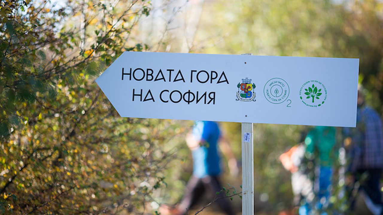Започва есенното засаждане в Новата гора на София