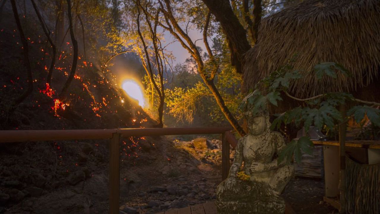 17-годишно момиче стана 43-та жертва на горските пожари в Калифорния