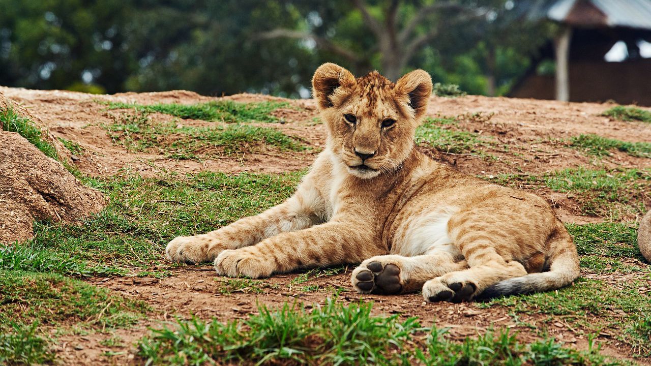 Всяка година идваха на проверка и така 10 години, докато