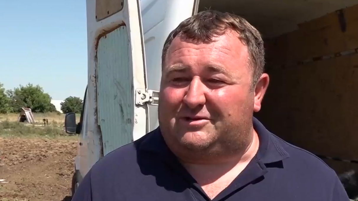 Протест срещу вноса: Фермер изкорени продукцията си и нахрани кравите си с краставици