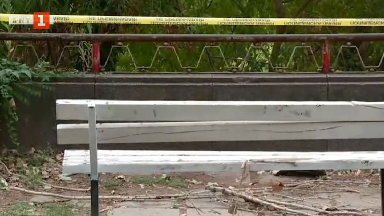 Трагедията в Пловдив: Дървото-убиец по никакъв начин не индикира за проблем