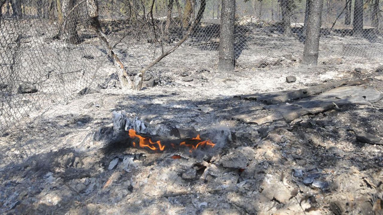 От Регионалната инспекция по околната среда и водите (РИОСВ) в