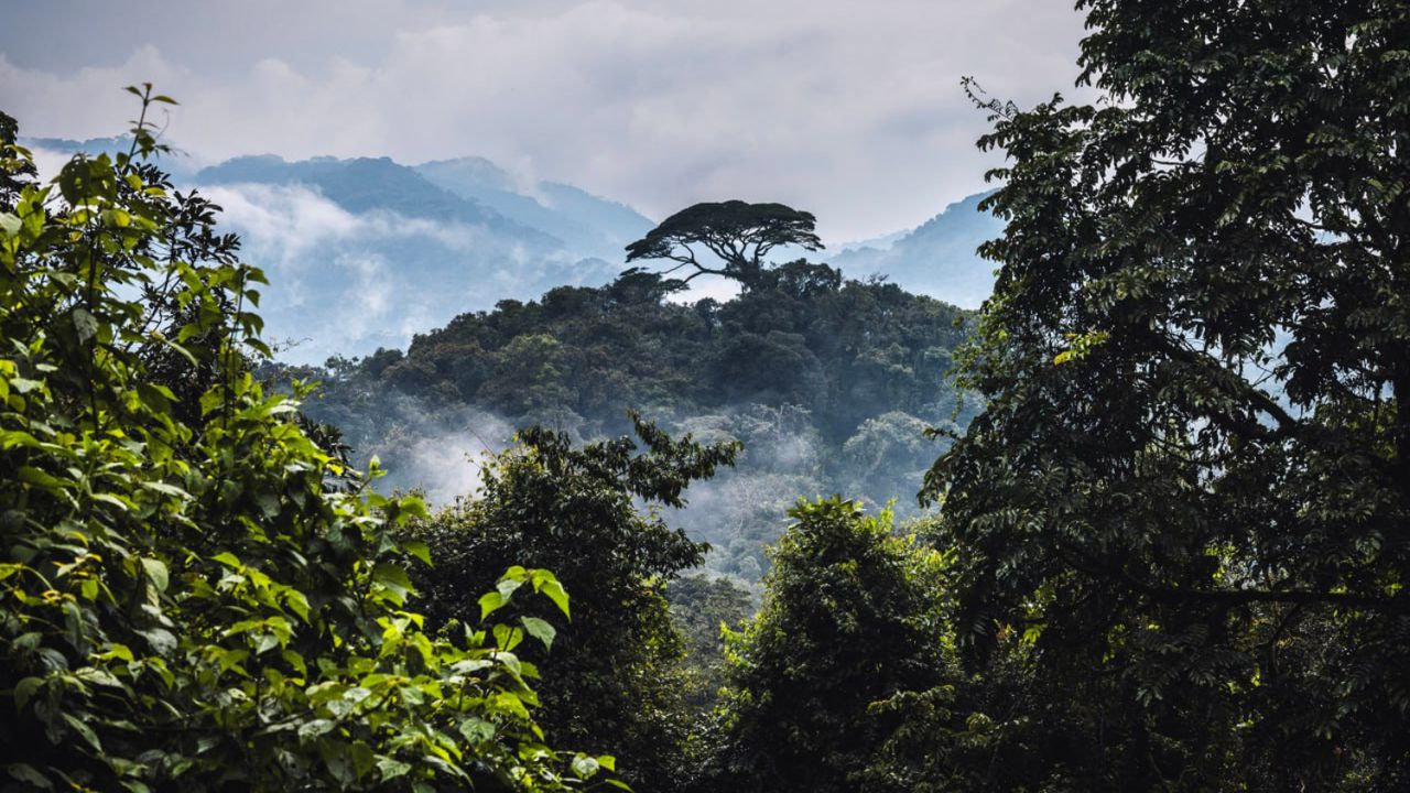 Страната на хилядата хълма: Пет задължителни места за посещение в Руанда
