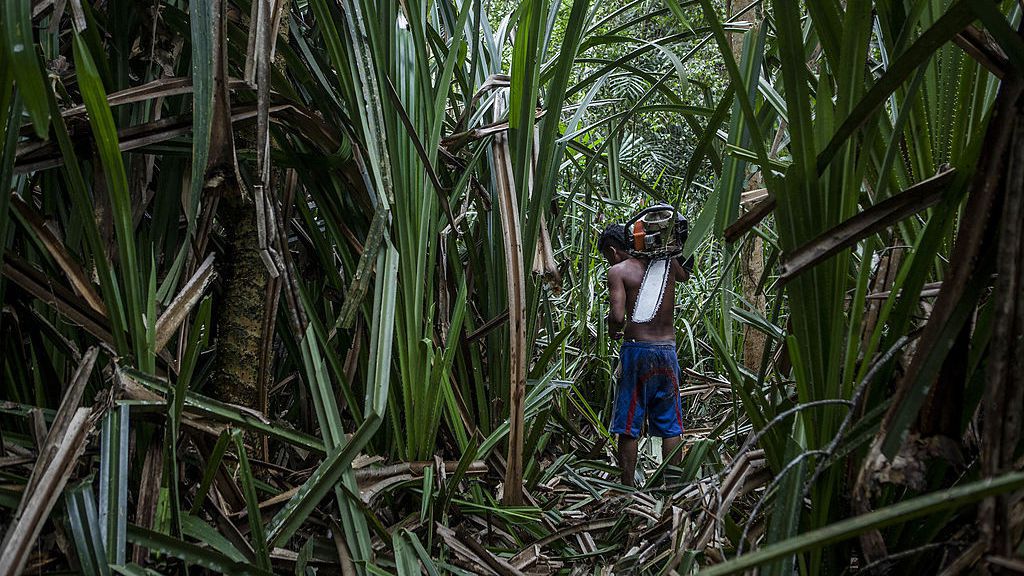 Интерпол съобщи, че в хода на съвместната работа на служители