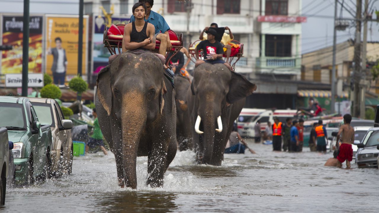 Съпруга спаси мъжа си по време на наводнение и откри,
