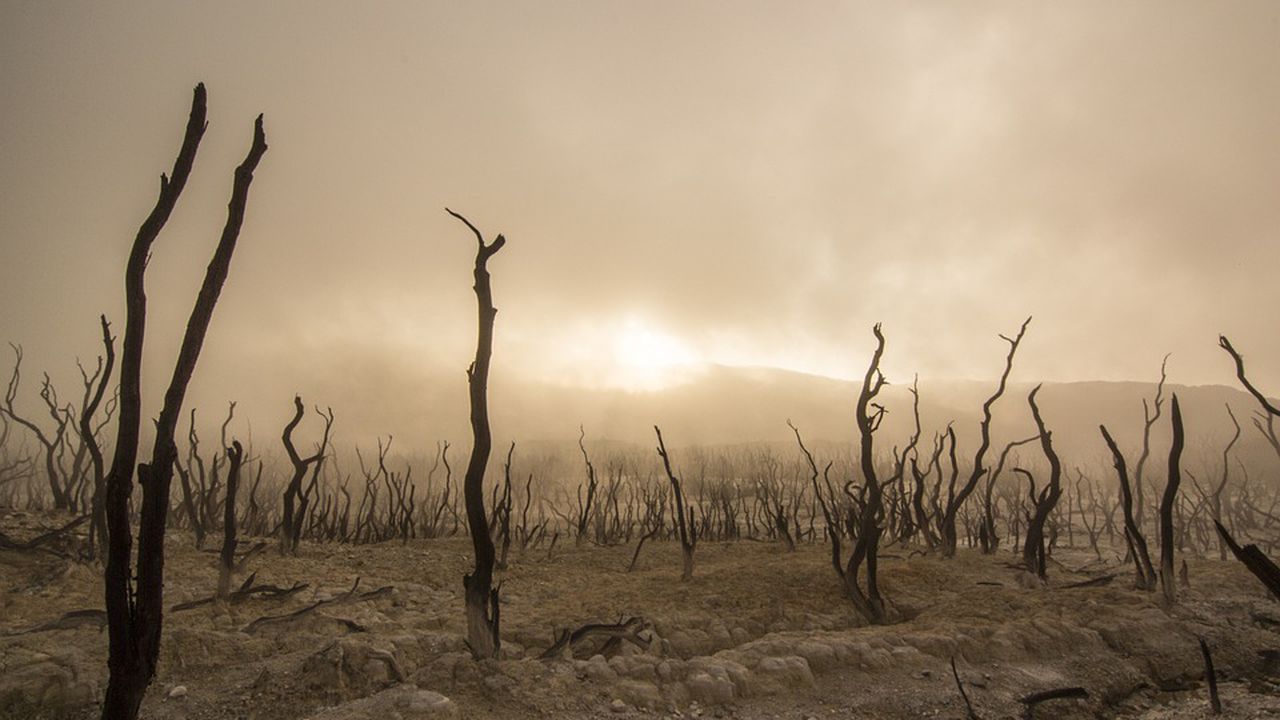 Учени: Няма да усетим края на света