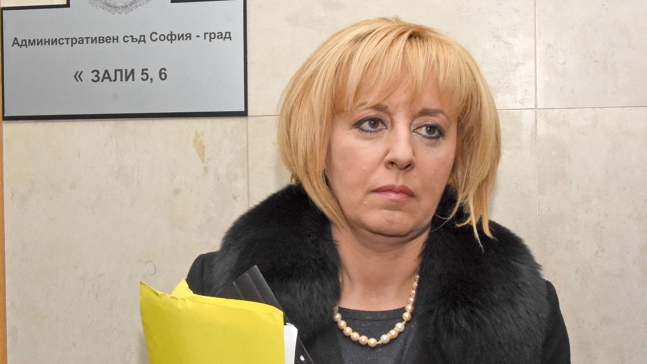 Мая Манолова: Държавата се провали в борбата срещу африканската чума