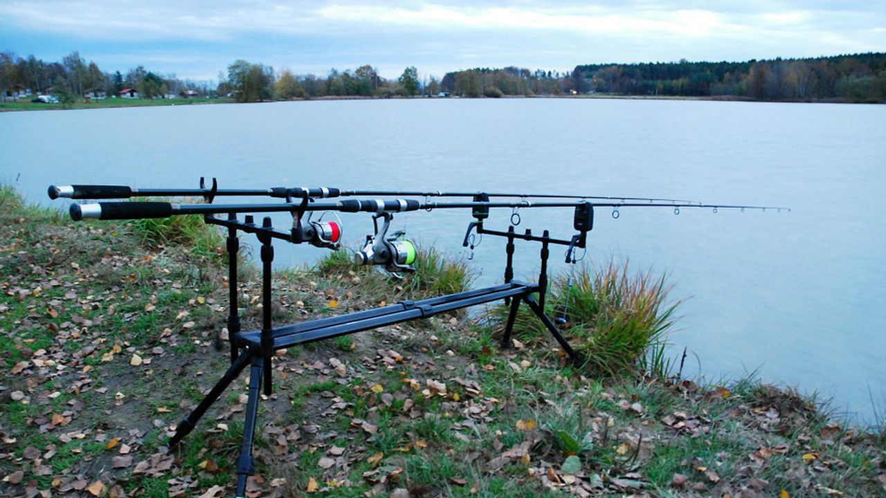 Рибари: Тази година комарите са като птеродактили