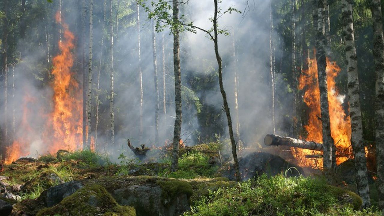 Кипърско село бе евакуирано заради горски пожар