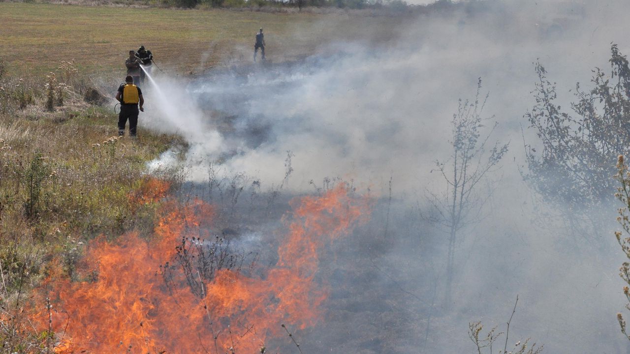 Пожар гори до село Горски извор